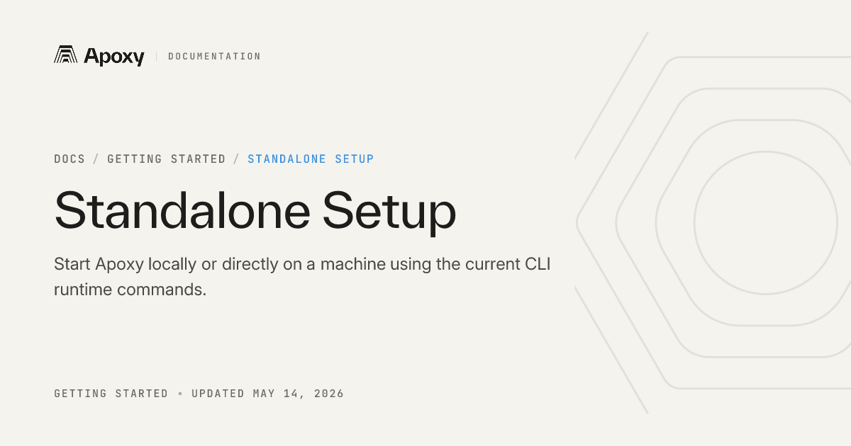 Standalone Setup — Apoxy Docs